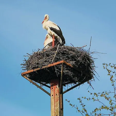 Two-bedroom Holiday In *